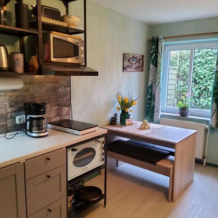 Studio-Apartment Mit Kleinem Gartenanteil Burg auf Fehmarn Exteriér fotografie